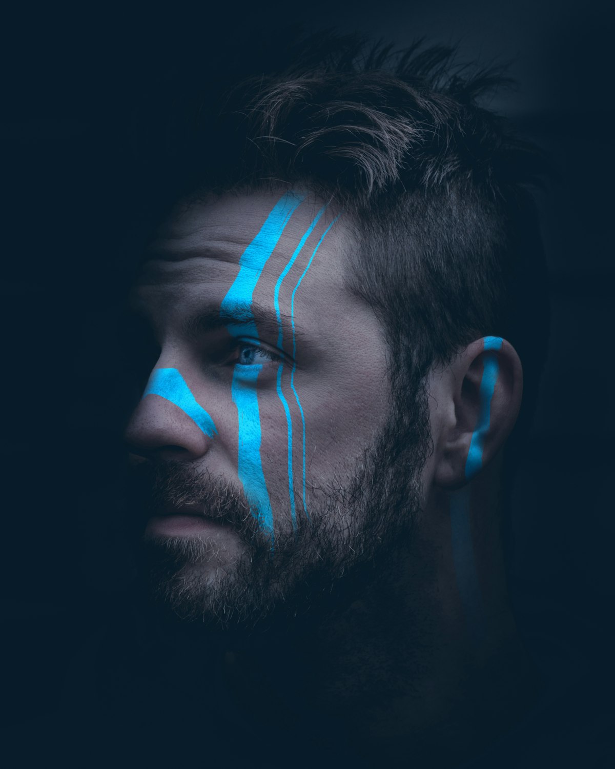 Downtown Toronto skyline